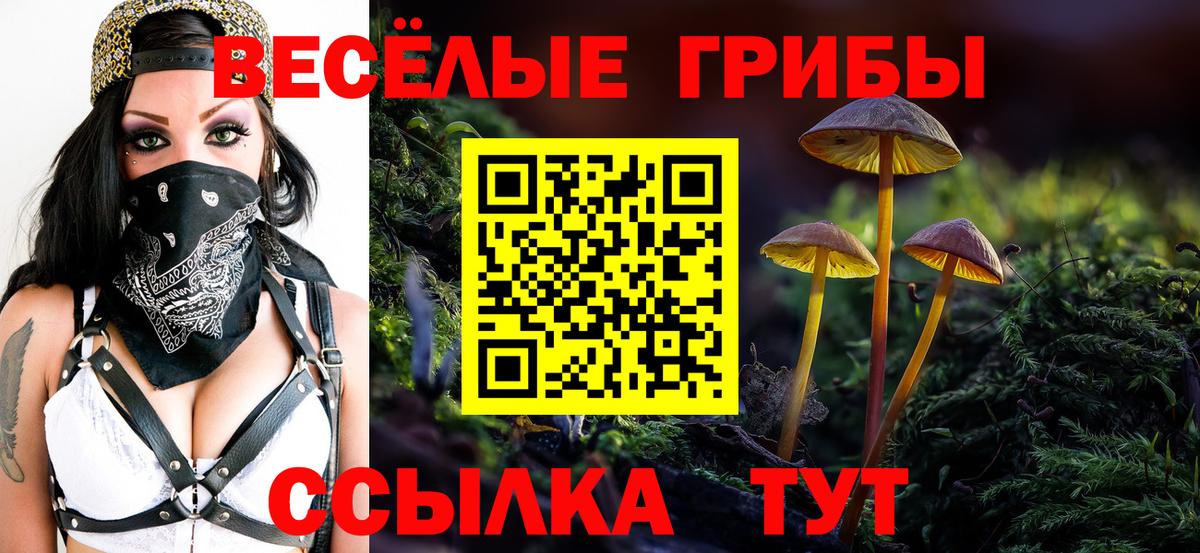 цены   Псилоцибиновые грибы Psilocybine cubensis  Кириши  Вход с VPN  Галлюциногенные грибы Magic Shrooms 